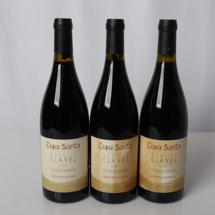 Domaine Clavel, Copa Santa 2001